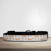 Nature Collection Squirrel Print Dog/Puppy Collar