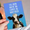 I've herd you're an expert in your field funny cow, farm animal, pun congratulations, graduation, well done card (Size A6/A5/A4/Square 6x6") - A6: Single card