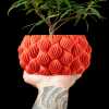 Ripple Planter Pot - Matte Dark Green