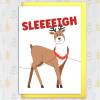 Sleeeeigh funny reindeer slay LGBTQ+ gay, lesbian Christmas card for adults, male, female, friends, mates (Size A6/A5/A4/Square 6x6") - A6: Single card