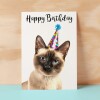 Birthday Card For Anyone Birthday Card For Friend Birthday Card For Her or For Him Siamese Cat Birthday Card For Son or Daughter - Small (4x6) / Blank Message