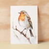 Robin Notelet Card For Anyone Cute Any Occasion Card For Her or For Him 5x7, A6 Card For Birthday or Easter Card Thank You Card Wildlife - Small (4x6) / Blank Message