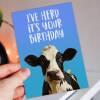 I've herd it's your birthday funny cow, farm animal, pun birthday card for adults, children, kids, friend, mate (Size A6/A5/A4/Square 6x6") - A6: Single card