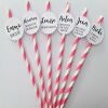 Personalised Hen Night Straws,Bride team straws, Bride squad straws, Hen party - Dark pink &white