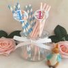 6 Personalised Peter Rabbit Straws,Peter Rabbit 1st Birthday,Peter Rabbit Party - 6