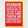 Throw me passionately on the bed and clean the whole house funny, rude Valentine's Day card for husband, boyfriend, partner (Size A6/A5/A4) - A6: Single card - Boyfriend