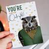 You're a bit of owlright owl in clothes Valentine’s Day card for wife, husband, boyfriend, girlfriend (Animalyser) Size A6/A5/A4/Square 6x6" - A6: Single card