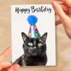 Birthday Card For Her Card For Friend Mum or Sister Birthday Card For Him Brother Dad Happy Birthday Card of Black Cat Fun Birthday Card - Small (4x6) / Blank Message