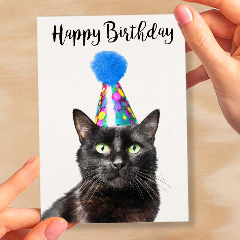 Birthday Card For Her Card For Friend Mum or Sister Birthday Card For Him Brother Dad Happy Birthday Card of Black Cat Fun Birthday Card - Small (4x6) / Blank Message