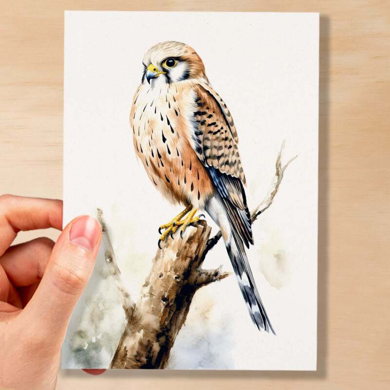 Kestrel Notelet Card For Anyone Any Occasion Card For Her or For Him 5x7, A6 Card For Birthday or Easter Card Thank You Card Wildlife - Small (4x6) / Blank Message