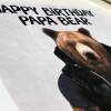 Happy birthday papa bear cute animal in clothes birthday card for dad, father, daddy, papa from son, daughter, child, children (Animalyser) - A6: Single card