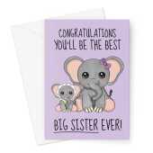 Congratulations New Baby Card For A Big Sister Card