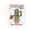 Funny Anniversary Card For Husband - Cactus Pun - A5 Portrait - 1 Card