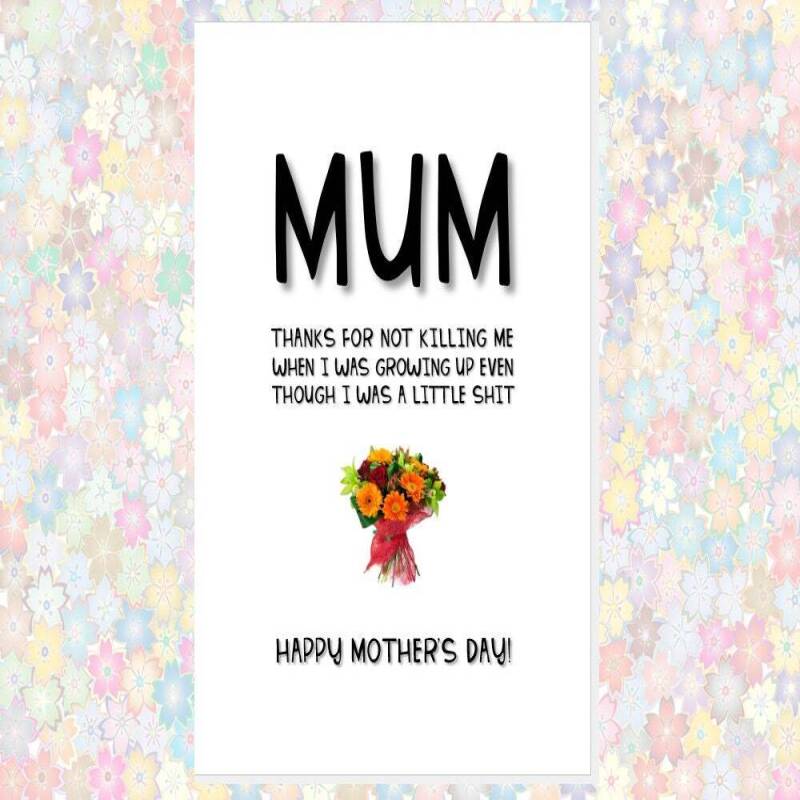 funny cheeky rude MOTHER'S DAY card - happy mother's day mum thank you for not killing me when I was growing up even though little shit card