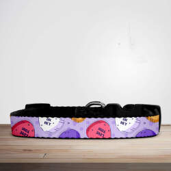 Valentine's Day Candy Hearts Dog/Puppy Collar - Small (29cm-46cm)