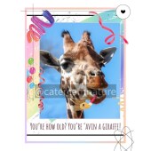 Birthday Card - Giraffe Humour