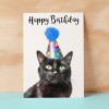 Birthday Card For Her Card For Friend Mum or Sister Birthday Card For Him Brother Dad Happy Birthday Card of Black Cat Fun Birthday Card - Small (4x6) / Blank Message