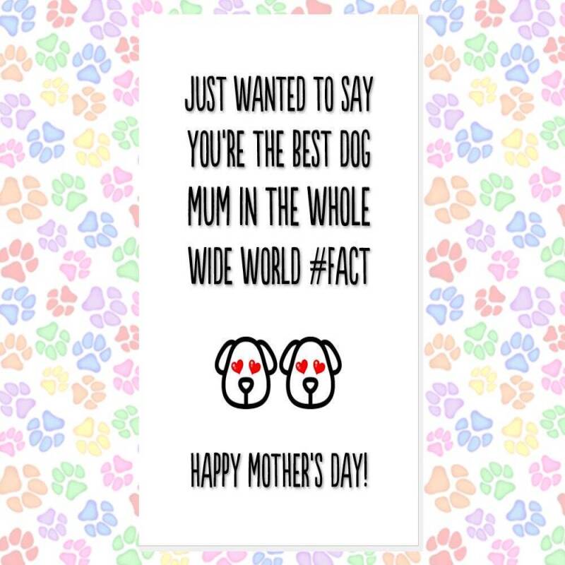 MOTHER'S DAY card from the dog, card from 2 dogs, funny mother's day card, card from the dogs, favourite human, best dog mum, thank you etc - LICK BITS - 1 DOG