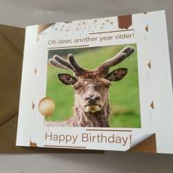 Birthday Card Deer Animals Humour