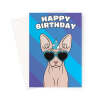 Sphynx Cat Birthday Card - A5 Portrait - 1 Card