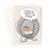 Cute Hamster Birthday Card - Hamster In A Wheel Joke - A5 Portrait - 1 Card