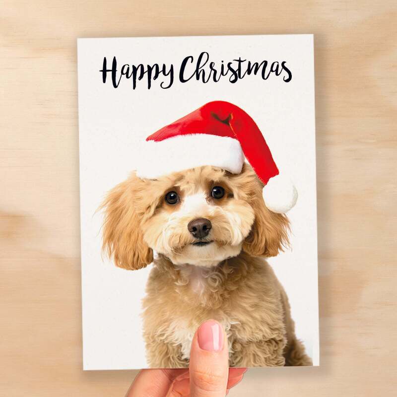 Christmas Card For Him or Her Christmas Card With A Dog Cute Poodle Christmas Card For Anyone Friend Fun Christmas Card of a Dog - Small (4x6) / Blank Message