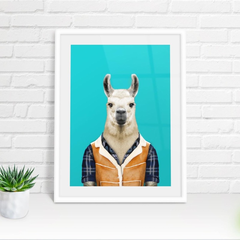 Llama in clothes, animal print, wall art - A5 - Glossy - White wood