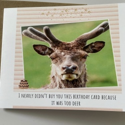 Birthday Card- Too Deer