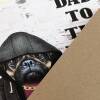 Dad to the Bone pug, dog in clothes birthday card for dad, father, daddy, papa from son, daughter (Animalyser) (Size A6/A5/A4/Square 6x6") - A6: Single card