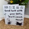 Handmade SATs Good Luck Card