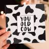 You old cow funny, offensive, rude old age, pensioner, old man, old person, old lady birthday card for female (Size A6/A5/A4/Square 6x6") - A6: Single card