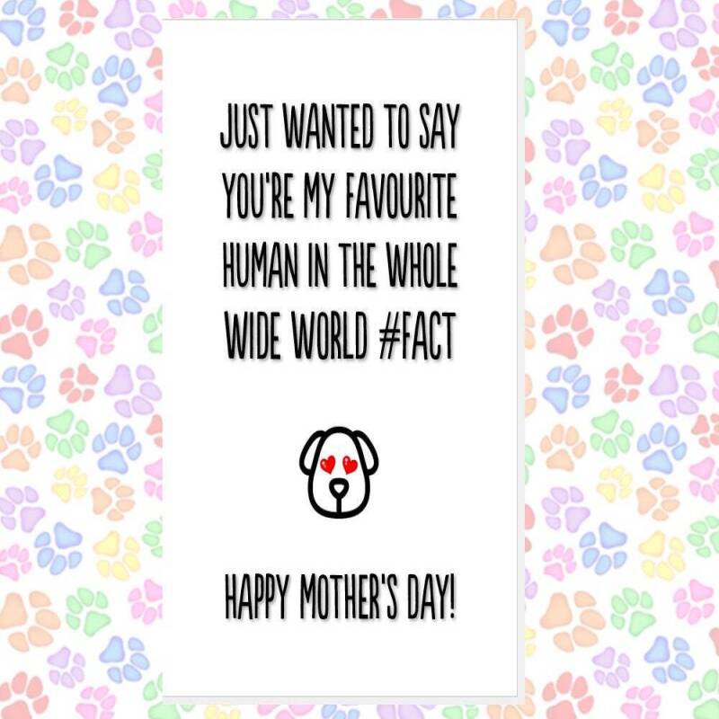 MOTHER'S DAY card from the dog, card from 2 dogs, funny mother's day card, card from the dogs, favourite human, best dog mum, thank you etc - LICK BITS - 1 DOG