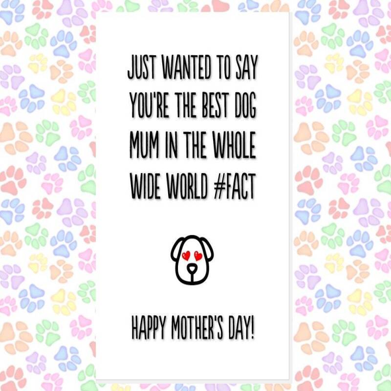 MOTHER'S DAY card from the dog, card from 2 dogs, funny mother's day card, card from the dogs, favourite human, best dog mum, thank you etc - LICK BITS - 1 DOG