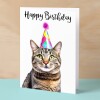 Birthday Card For Her Card For Friend Mum or Sister Birthday Card For Him Brother Dad Happy Birthday Card of Tabby Cat Fun Birthday Card - Small (4x6) / Blank Message