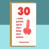 Funny 30th Birthday Card - Cheeky Card for Someone Turning 30 years old - For Him or For Her - Can be personalised inside - Large or Small - Blank inside - Large