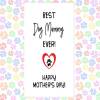 MOTHER'S DAY card from the dog. funny mother's day card, card from the dog, card from the dogs, best dog mum, ball thrower, 7 designs - DOG MUMMY