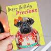 Happy Birthday Precious pug dog animal in clothes card for female, girlfriend, wife, partner, girl, gal (Animalyser) Size A6/A5/A4/Square - A6: Single card - Yellow